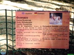 Cosmin Cornea, 03.06. 2006