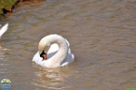 Alex Kantorovich, 24.05. 2012