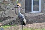 Alex Kantorovich, 24.05. 2012