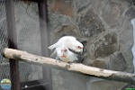Alex Kantorovich, 24.05. 2012