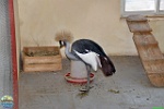 ekzootik_park_0063