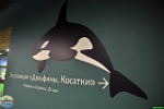 Alex Kantorovich, 12.04. 2016