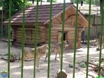 Roman Hynek, 19.05. 2012