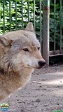 Roman Hynek, 19.05. 2012