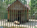 Roman Hynek, 19.05. 2012