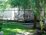 Roman Hynek, 29.05. 2011
