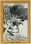 menagerie_0153_(027-08)
