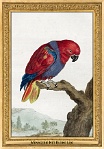 menagerie_0155_(015-18)