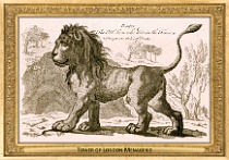 menagerie_0159_(003-09)