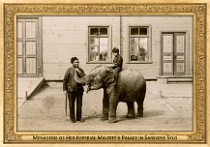 menagerie_0160_(016-02)