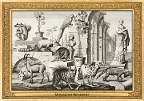 0035-007-05 Menagerie Belvedere Landstraße (now in Wien) (AT) Salomon Kleiner, 1734