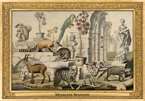 0036-007-06 Menagerie Belvedere Landstraße (now in Wien) (AT) Salomon Kleiner, 1734