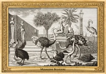 0059-007-08 Menagerie Belvedere Landstraße (now in Wien) (AT) Salomon Kleiner, 1734