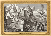 0075-007-10 Menagerie Belvedere Landstraße (now in Wien) (AT) Salomon Kleiner, 1734