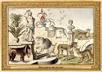 0096-007-13 Menagerie Belvedere Landstraße (now in Wien) (AT) Salomon Kleiner, 1734