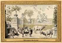 menagerie_0147_(007-19)