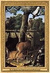0020-013-01 Kurfürstliche Thiergarten in Potsdam Potsdam (DE) Willem Frederik van Royen, 1697