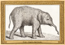 menagerie_0134_(028-02)
