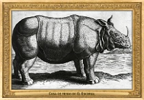 menagerie_0154_(039-01)