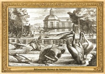 0002-002-01 Ménagerie Royale de Versailles Versailles (FR) De Poilly, 1670