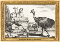 0040-002-04 Ménagerie Royale de Versailles Versailles (FR) Gérard Scotin, 1670 - 1674