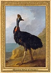 menagerie_0104_(002-09)