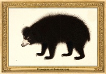 0072-026-02 Menagerie at Barrackpore Barrackpore (IN) Haludar, 1804 - 1805