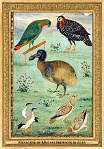 0088-014-02 Menagerie of Mughal Emperors in Agra Agra (IN) Ustad Mansúr, ~ 1610 - 1620