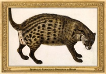 0080-030-01 Serraglio Francesco Barberini a Roma Roma (IT) neznámý autor • unknown author, 1630