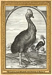 0016-010-01 Menagerie van Maurits van Oranje in Rijswijk Riswijk (NL) Crispijn van den Queborn, ~1614 - 1616