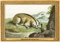 0067-015-08 Menagerie Het Kleine Loo Voorburg (now in Haag) (NL) Simon Fokke, Aert Schouman, Arnout Vosmaer, 1766 - 1805