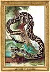 0084-015-10 Menagerie Het Kleine Loo Voorburg (now in Haag) (NL) Simon Fokke, Aert Schouman, Arnout Vosmaer, 1766 - 1805