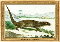 menagerie_0103_(015-15)