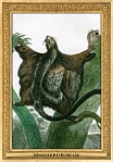 menagerie_0156_(015-19)