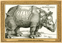 0018-012-01 Colecção de animais real em Ribeira Ribeira de Lisboa (now in Lisboa) (PT) Albrecht Dürer, 1515