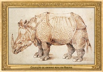 0019-012-02 Colecção de animais real em Ribeira Ribeira de Lisboa (now in Lisboa) (PT) Albrecht Dürer, 1515