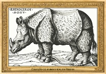 menagerie_0106_(012-03)