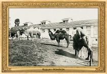 0074-027-02 Kuşluk-ı Hümâyûn Constantinople (now Istanbul) (TR) neznámý autor • unknown author, ~1905