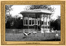 menagerie_0120_(027-06)