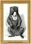 0026-003-02 Tower of London Menagerie London (UK) Baron Georges Cuvier, 1827