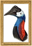 0055-022-01 Menagerie of Lionel Walter Rothschild in Tring Tring (UK) John Gerrard Keulemans, ~1900