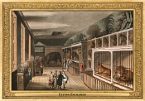 0061-006-07 Exeter Exchange London (UK) neznámý autor • unknown author, ~1816