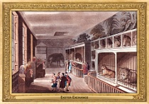 0062-006-08 Exeter Exchange London (UK) neznámý autor • unknown author, ~1812