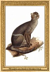 0090-029-04 Menagerie and Aviary at Knowsley Hall Knowsley (UK) Edward Lear, 1846