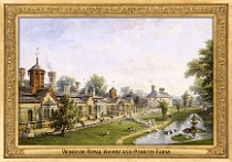 0100-034-01 Windsor Royal Aviary Windsor (UK) Caleb Robert Stanley, 1845
