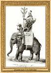 menagerie_0108_(035-02)
