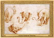 menagerie_0157_(035-04)
