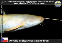 wzd_01463