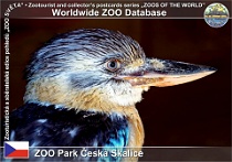 wzd_01464