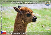 wzd_01466